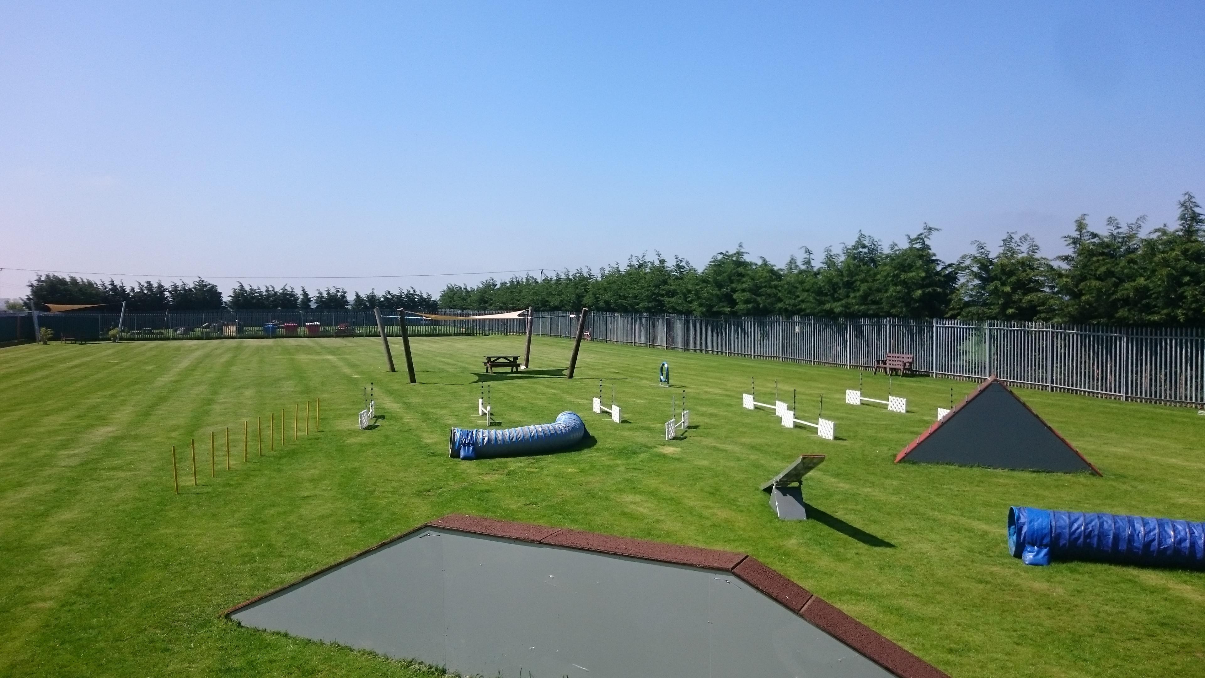 dog agility training course with central awning in the back